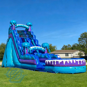  Piscina desmontable de los toboganes acu&aacute;ticos grandes del tema inflable de las medusas